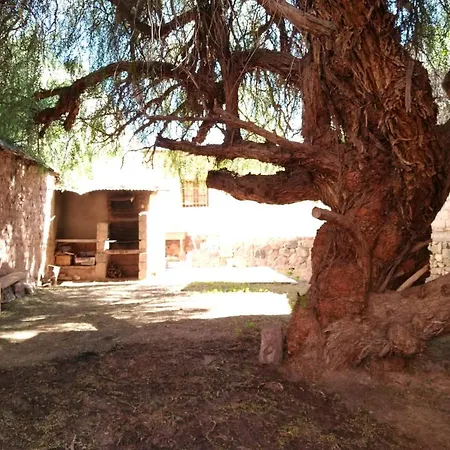 Apartamento La Casa Del Molle Tilcara Exterior foto