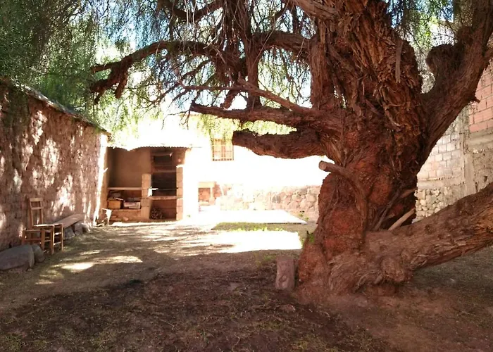 La Casa Del Molle