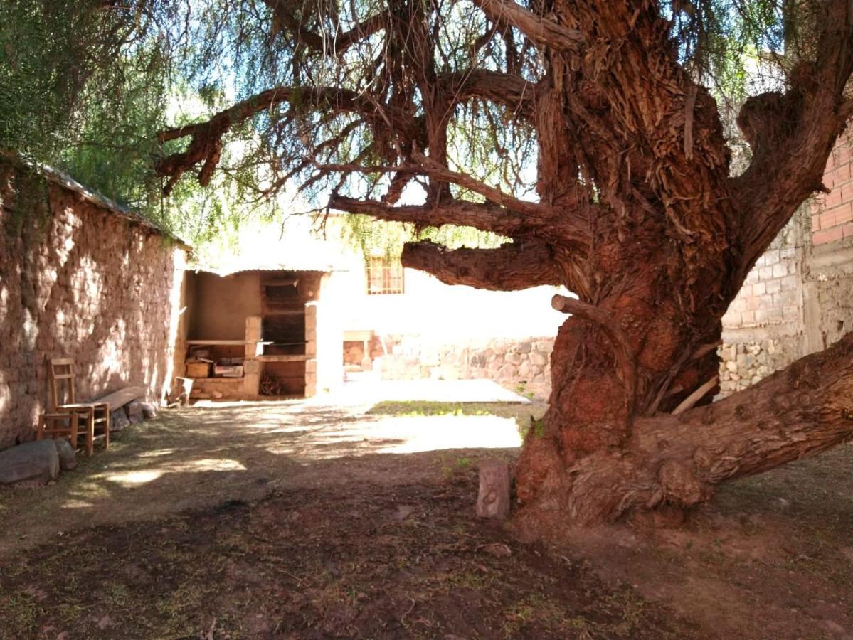 La Casa Del Molle Apartment Tilcara